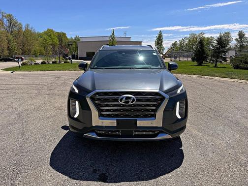 Rainforest 2020 Hyundai PALISADE Limited