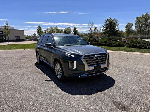 Rainforest 2020 Hyundai PALISADE Limited