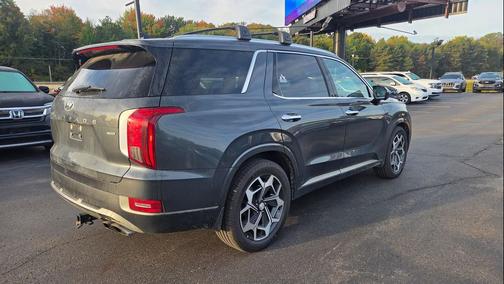 Rainforest 2022 Hyundai PALISADE Calligraphy