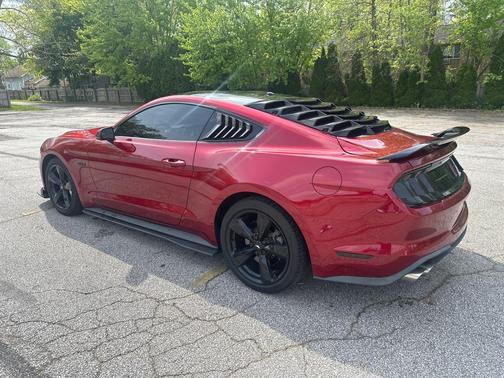 RED 2019 Ford Mustang GT