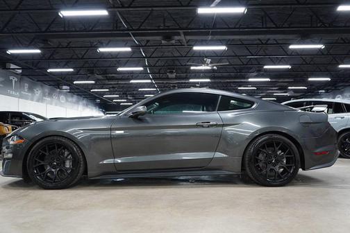 Magnetic Metallic 2019 Ford Mustang EcoBoost