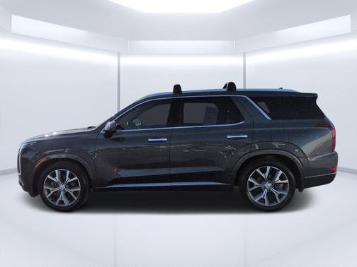 Rainforest 2022 Hyundai PALISADE Limited