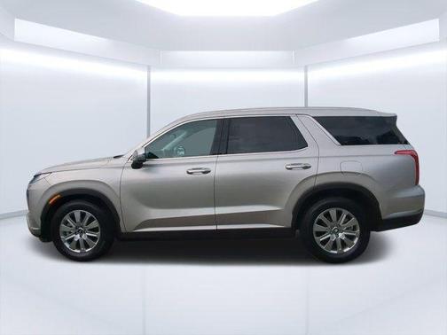 Typhoon Silver 2025 Hyundai PALISADE SEL
