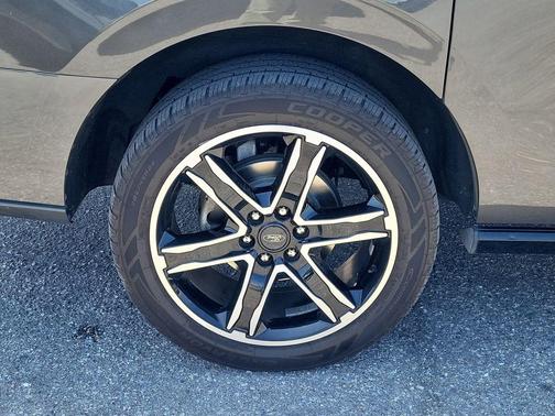 Magnetic 2021 Ford Expedition Max Limited
