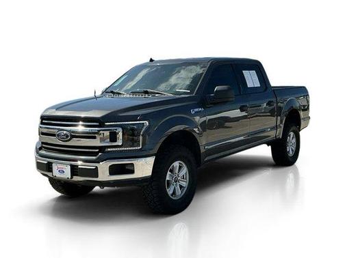 Magnetic 2020 Ford F-150 XLT