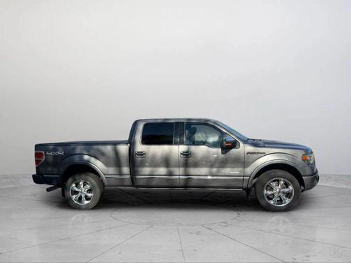 2013 Ford F-150 Platinum