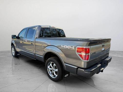 2013 Ford F-150 Platinum