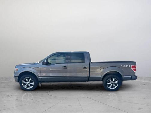 2013 Ford F-150 Platinum