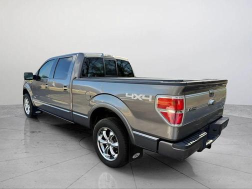 2013 Ford F-150 Platinum