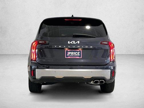 Panthera Metal 2025 Kia Telluride S