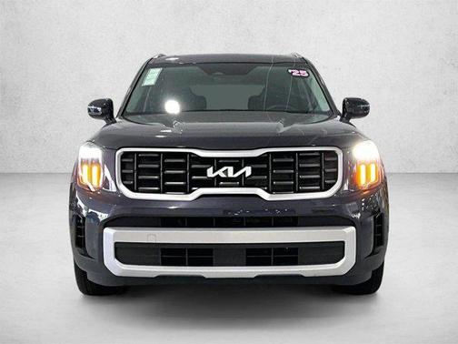 Panthera Metal 2025 Kia Telluride S