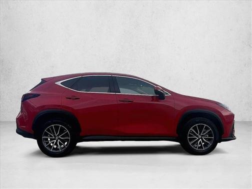 Redline 2024 Lexus NX 250 Premium