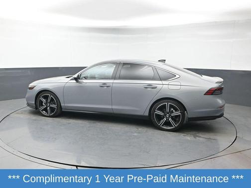 Urban Gray Pearl 2024 Honda Accord Hybrid Sport