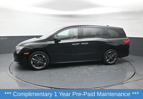 2024 Honda Odyssey Elite