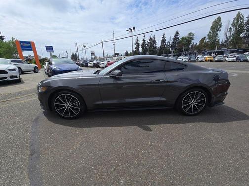 Magnetic Metallic 2015 Ford Mustang EcoBoost