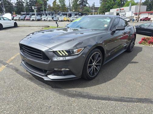 Magnetic Metallic 2015 Ford Mustang EcoBoost