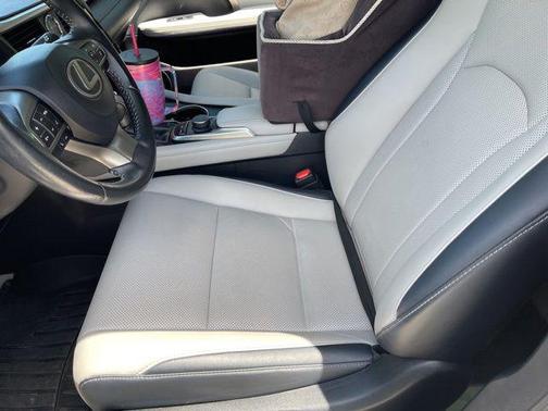 Nebula Gray Pearl 2019 Lexus RX 350 Base