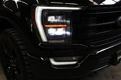 Black Metallic 2022 Ford F-150 Platinum