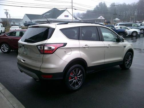White Gold Metallic 2017 Ford Escape SE