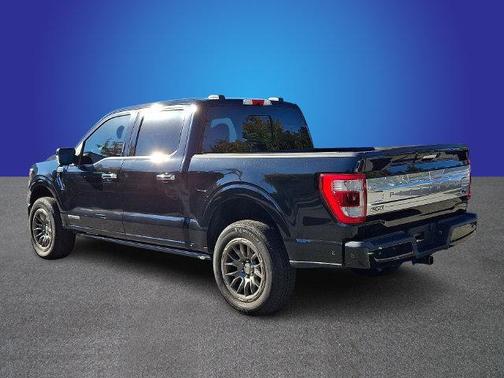 Black Metallic 2021 Ford F-150 Platinum
