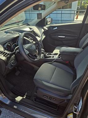 Magnetic 2019 Ford Escape SE