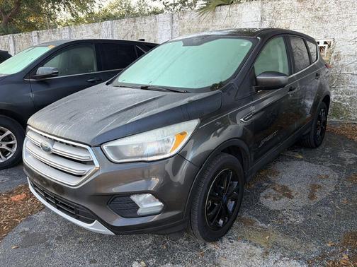 Magnetic 2019 Ford Escape SE