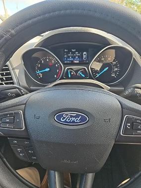 Magnetic 2019 Ford Escape SE