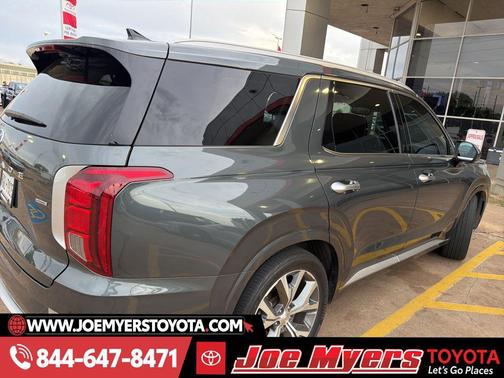 Rainforest 2022 Hyundai PALISADE Limited