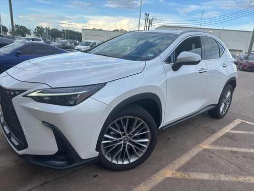 2025 Lexus NX 350 Premium