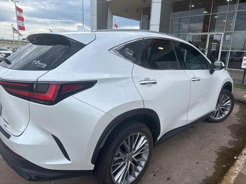 2025 Lexus NX 350 Premium