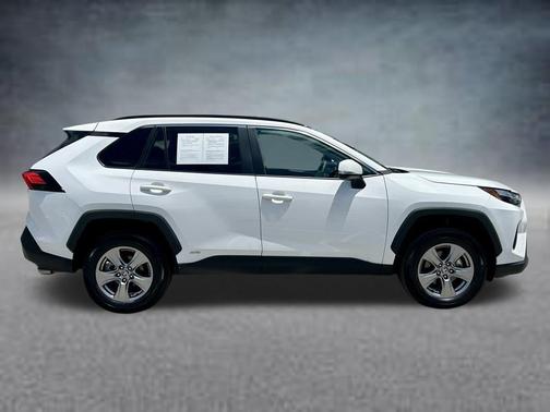 Ice 2025 Toyota RAV4 Hybrid XLE