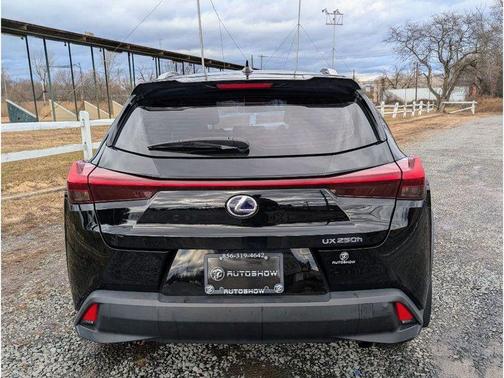 2019 Lexus UX 250h UX 250h