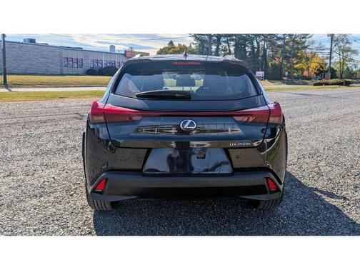 2021 Lexus UX 250h Base