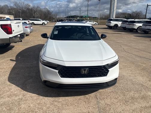 2024 Honda Accord SPORT