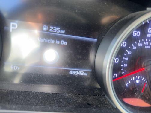 Panthera Metal 2023 Kia Carnival LX
