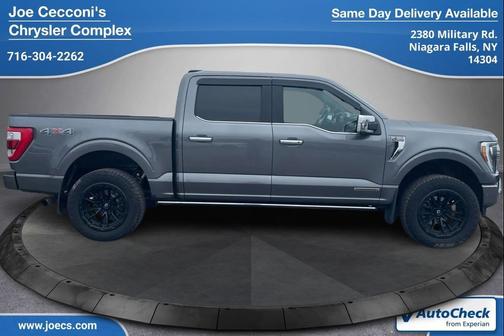 CARBONIZED GRAY 2021 Ford F-150 Platinum