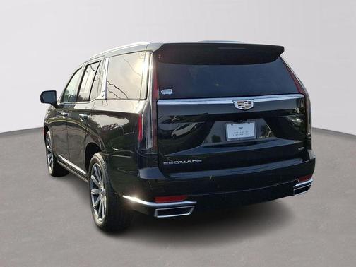 2022 Cadillac Escalade Premium Luxury Platinum