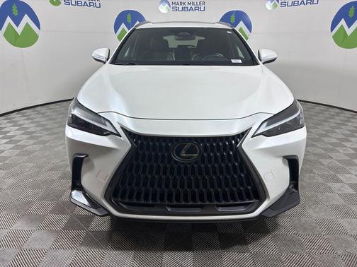 2023 Lexus NX 350h 350h Base