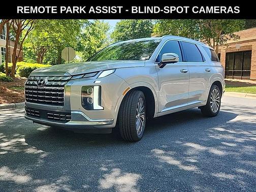 Typhoon Silver 2025 Hyundai PALISADE Calligraphy