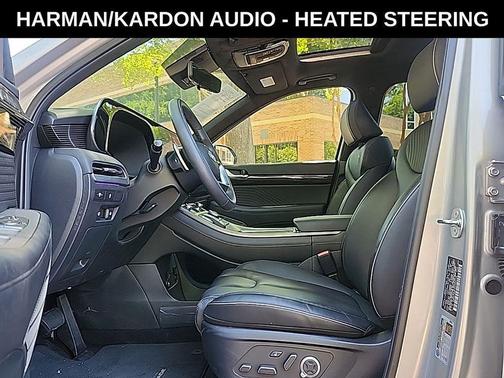 Typhoon Silver 2025 Hyundai PALISADE Calligraphy