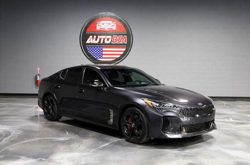 Panthera Metal 2019 Kia Stinger GT