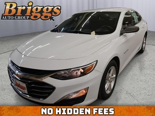2019 Chevrolet Malibu 1LS