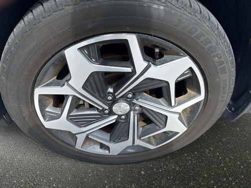 Rainforest 2021 Hyundai PALISADE Calligraphy