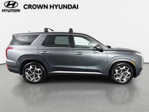 Rainforest 2021 Hyundai PALISADE Calligraphy