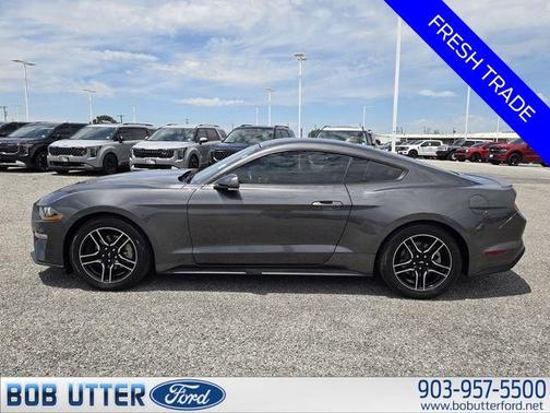 Magnetic Metallic 2020 Ford Mustang EcoBoost Premium