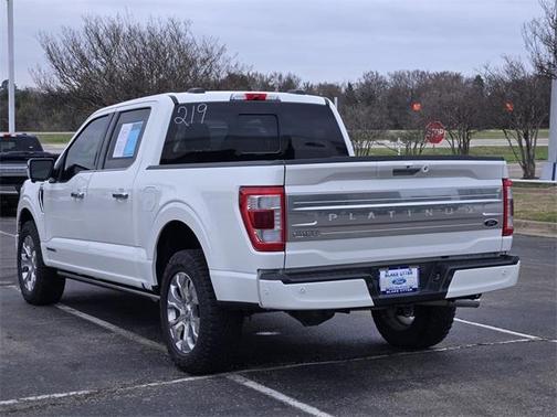 2022 Ford F-150 Platinum