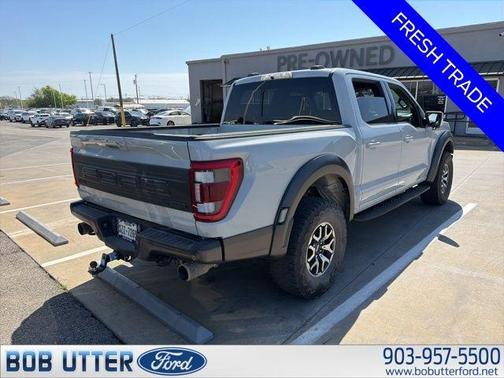 Avalanche Gray 2023 Ford F-150 Raptor