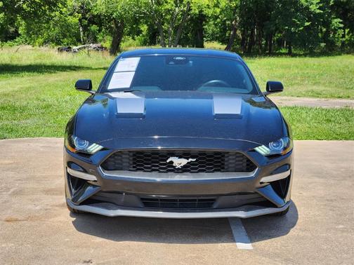 2022 Ford Mustang EcoBoost