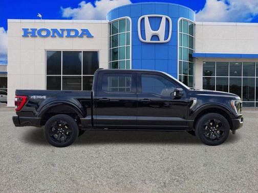 Black Metallic 2023 Ford F-150 Platinum