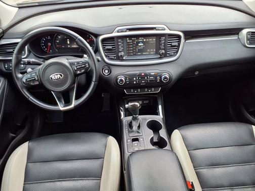 Polished Walnut 2017 Kia Sorento EX